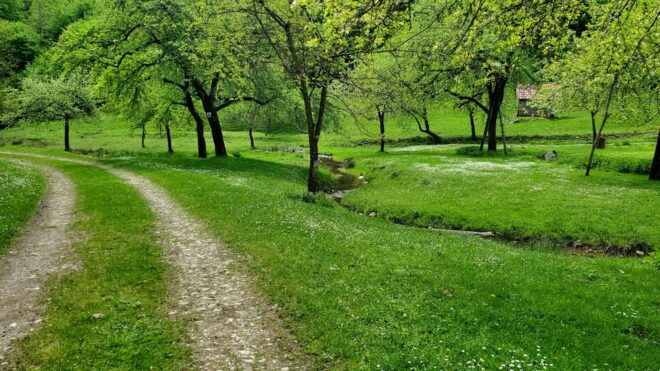 Cluj to Rosia: Day Trip to Ferrata and Pittoresque Country - Travel and Booking Information