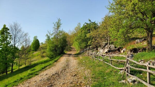 Cluj to Rosia: Day Trip to Ferrata and Pittoresque Country - The Sum Up
