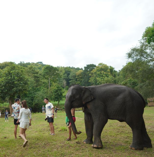 CM: Private Elephant Care, Rafting, Long Neck Karen&Ziplines - Elephant Care Activities