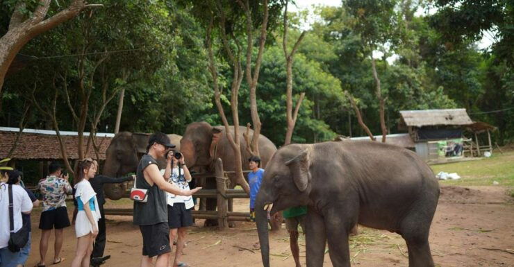 CM: Private Elephant Care, Rafting, Long Neck Karen&Ziplines - Elephant Care Support