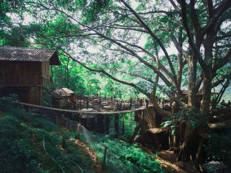 CNX: Trekking & Villager Living in Forest, Tea& Coffee Farm - Activity Details