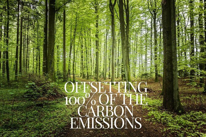 CO2-Offset Departure Private Transfer Cefalù to Palermo Airport - Analyzing the Value