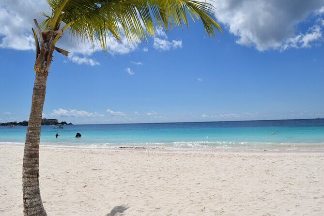 Coach charter in Barbados for 3 to 4 hours for up to 20 persons - Detailed Breakdown of the Itinerary