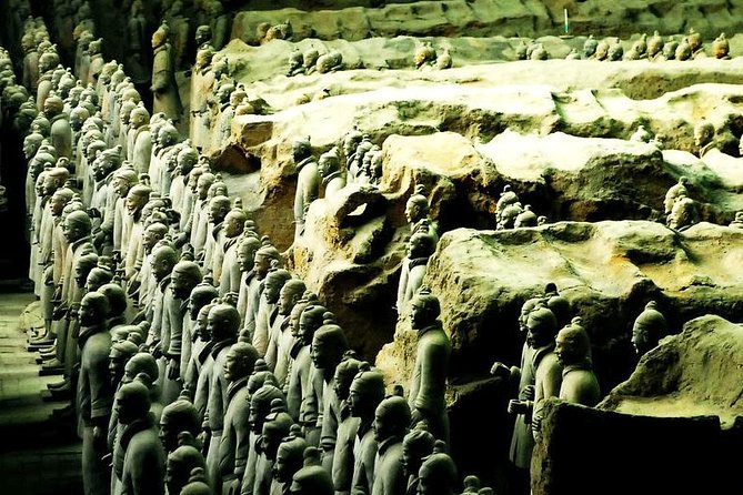 Coach Day Tour of Terracotta Warriors and Banpo Museum - Tour Highlights