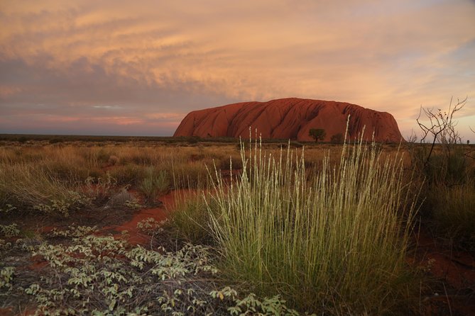 Coach Transfer From Kings Canyon Resort to Ayers Rock (Uluru) - Features and Benefits of the Transfer