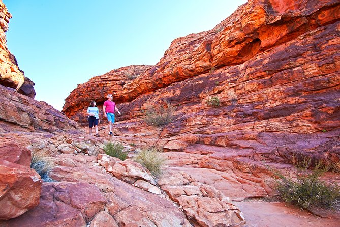 Coach Transfer From Kings Canyon Resort to Ayers Rock (Uluru) - Traveler Photos and Reviews