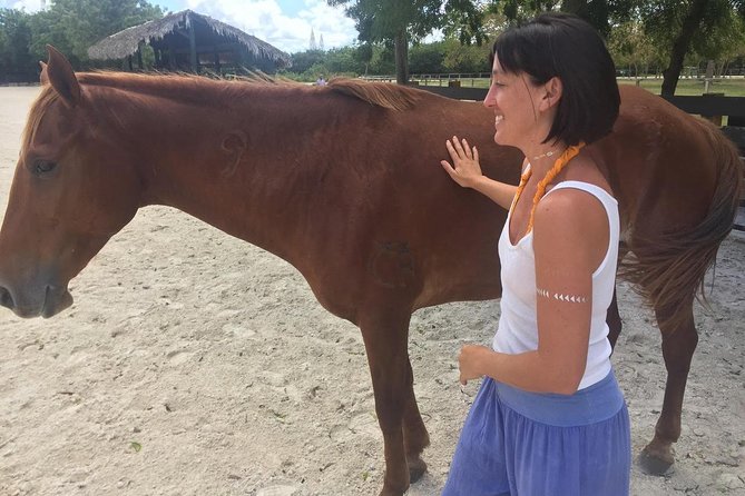 Coaching With Horses in Dominican Republic - Benefits of Equine-Assisted Coaching