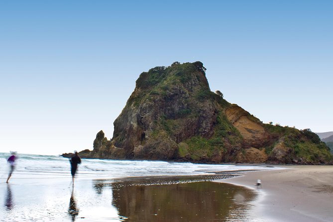 Coast and Rainforest Eco-Tour From Auckland With Lunch - Traveler Photos and Reviews