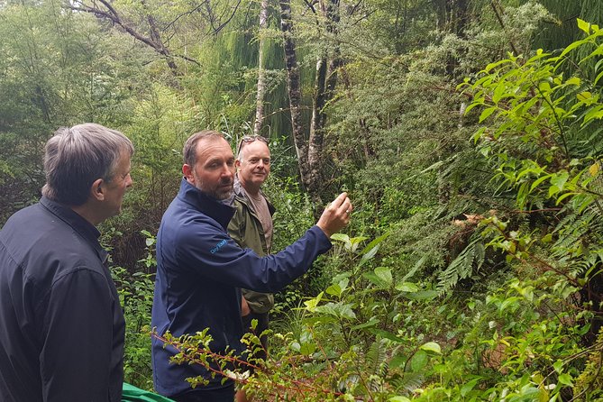 Coast and Rainforest Eco-Tour From Auckland With Lunch - Common Questions
