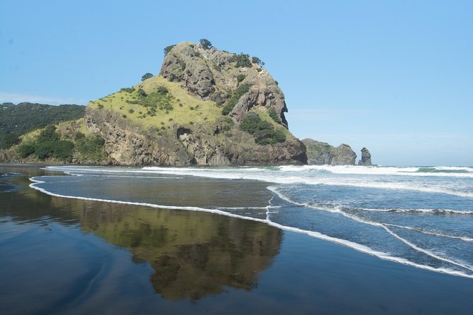Coast and Rainforest Eco-Tour From Auckland With Lunch - The Sum Up