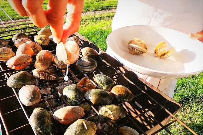 Coast, Fish and Txakoli Wine - Additional Information and Cancellation Policy