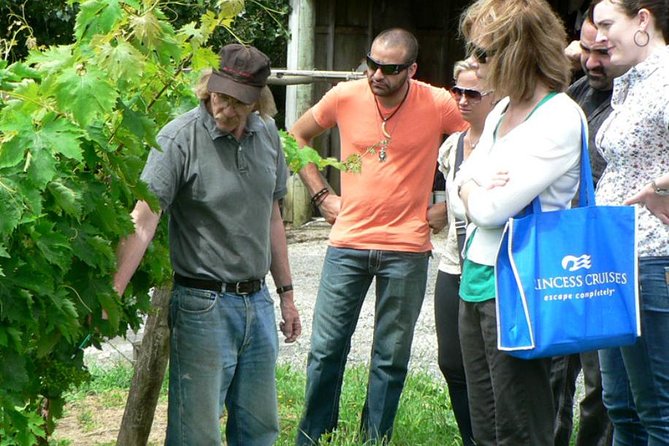 Coast to Coast Auckland Wine Tasting Day Tour - Tour Highlights