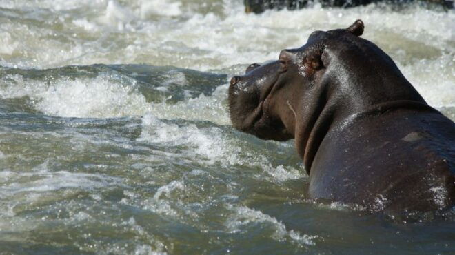 Coast to Coast Premium South Africa 14 Day Adventure - Important Information