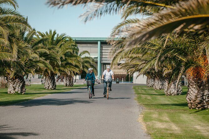 Coast to Country Winery Cycle Tour - An In-Depth Look at the Coast to Country Winery Cycle Tour