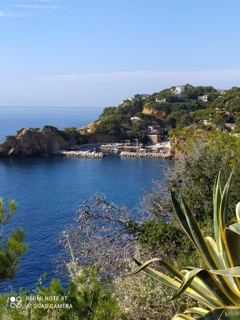 Coastal Bliss: A Day on the Blue Coast - Culinary Delights