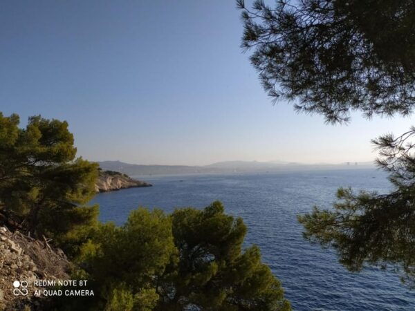 Coastal Bliss: A Day on the Blue Coast - Accessibility Considerations