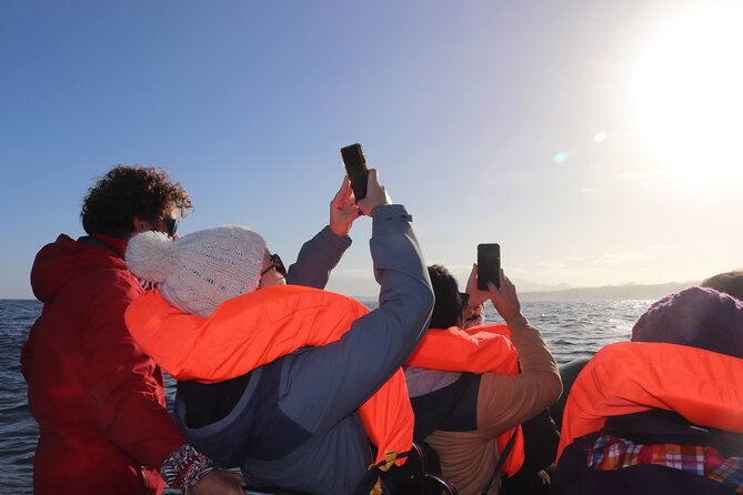 Coastal Boat Tour in Ribeira Grande and Porto Formoso - Cancellation Policy