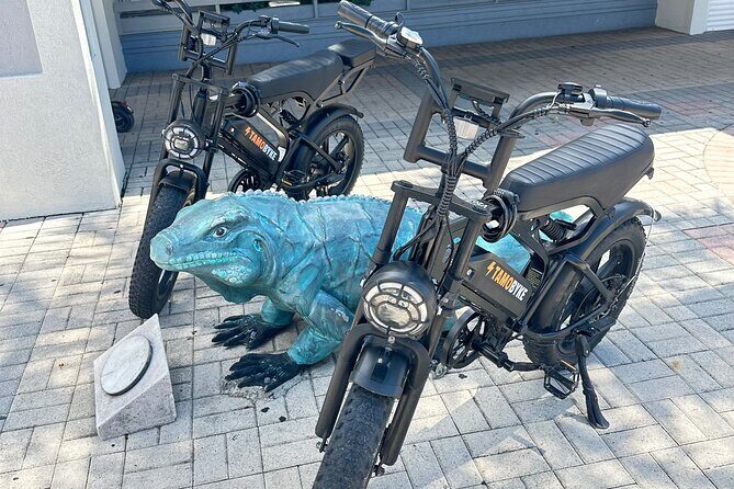 Coastal E-Bike Adventure: Full-Day Self-Guided Tour Grand Cayman - An Overview of the Experience