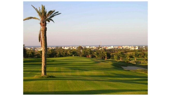 Coastal Guided Tour : Monastir, Sousse & Port El Kantaoui - Highlights of the Tour