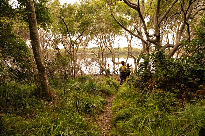 Coastal Nature Full-Day Walking Tour in Lennox Head - Tour Overview