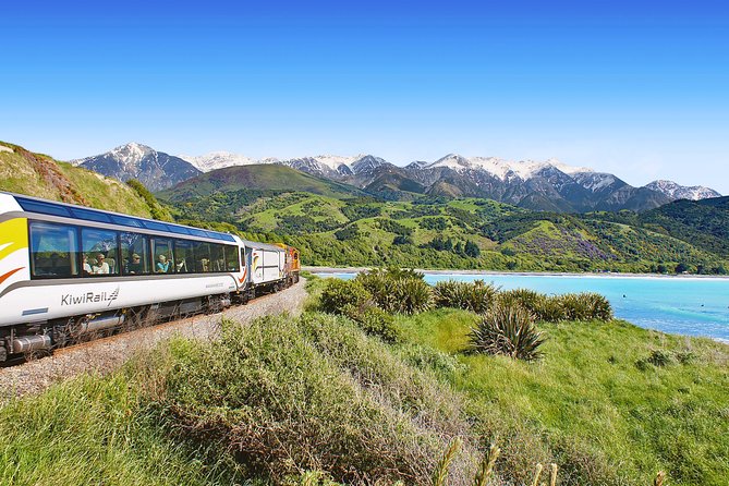 Coastal Pacific Train Journey From Christchurch to Picton - Pricing and Booking