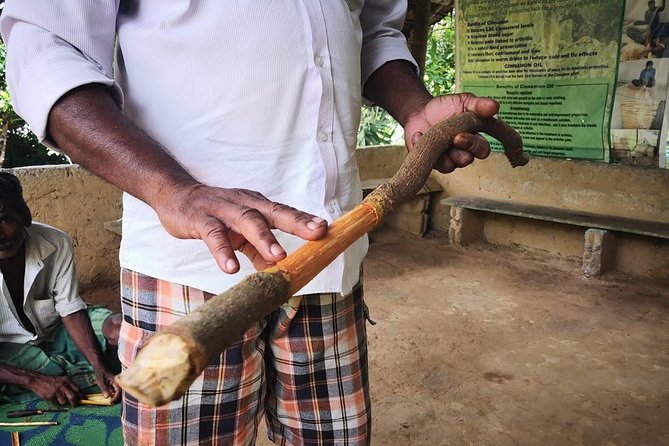 Coastal Ride to Galle From Colombo Seaport - Relaxing at Hikkaduwa Beach