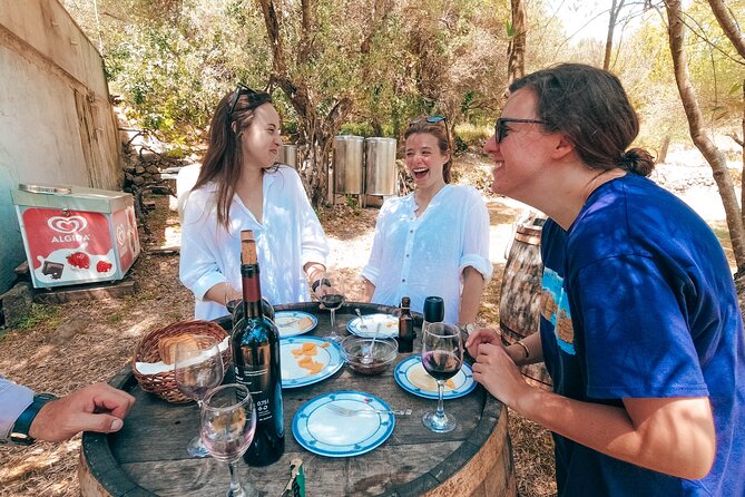 Coastal Vineyards: A Dream Wine Tour to Elaphiti Islands - Wine Selections and Pairings