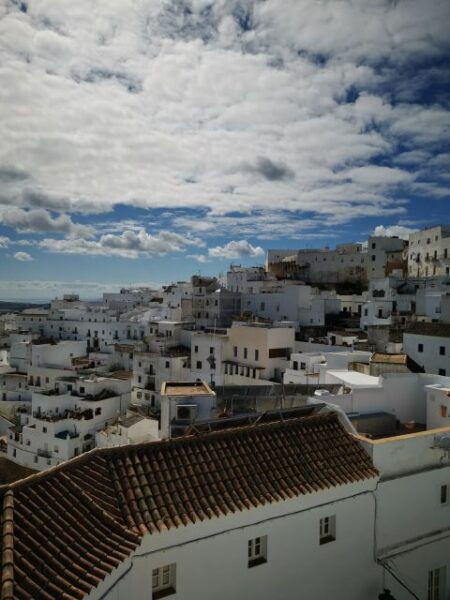 Coastal White Villages and Beaches Private Tour From Seville - The Sum Up