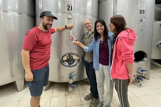 Coastal "Winery Camino Trail" Walking Tour From San Sebastian - Cancellation Policy