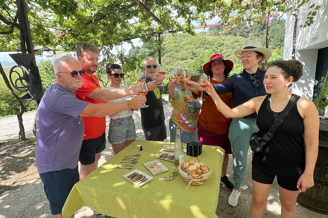 Coastal "Winery Camino Trail" Walking Tour From San Sebastian - Reviews