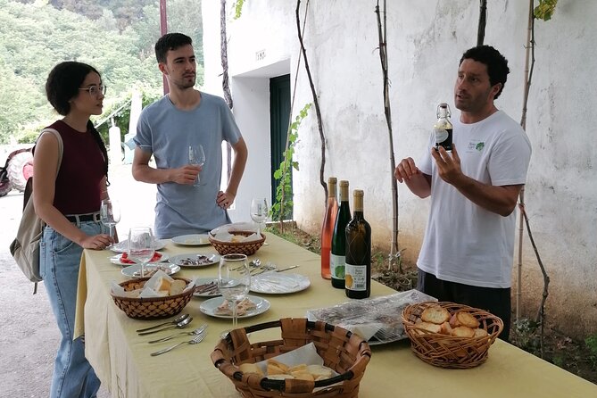 Coastal "Winery Camino Trail" Walking Tour From San Sebastian - Common Questions