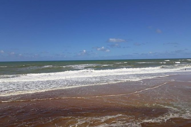 Coastal Wonders - Leaving Salvador - Exploring the Coastal Beauty