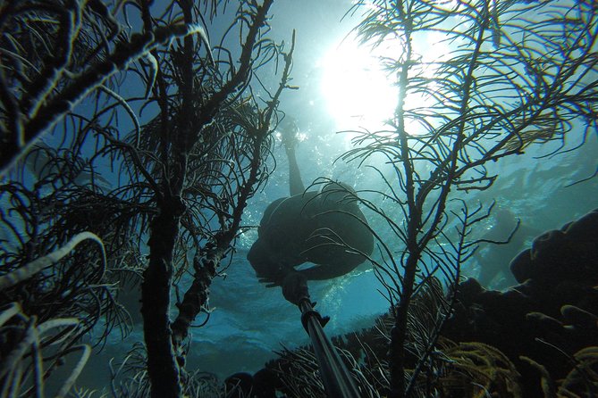 Coastline Snorkel and BBQ - Beautiful Waters for Snorkeling