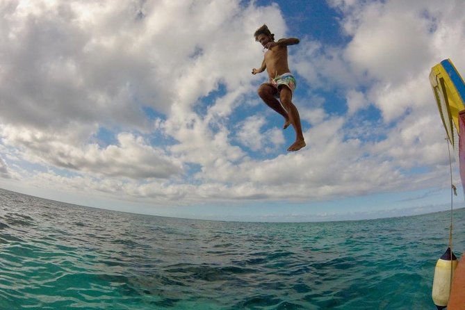 Coastline Snorkel and BBQ - Common Questions