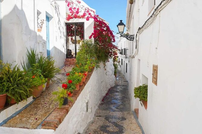 Coasts and Mountains: Nerja to Frigiliana With Nerja Caves Small-Group Day Trip - Price and Terms