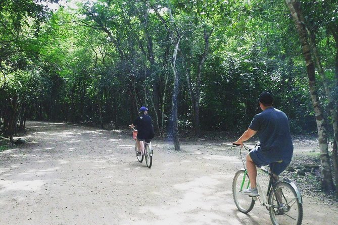 Coba and Cenote Private Full-Day Guided Tour  - Tulum - Reviews