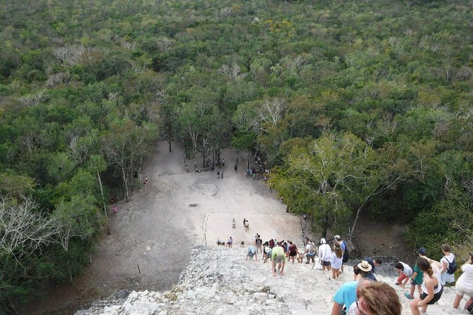 Coba and Cenote Private Full-Day Guided Tour  - Tulum - The Sum Up