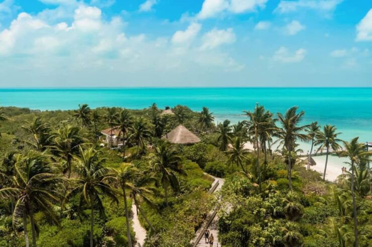 Coba and Turtles Adventure - Itinerary Highlights