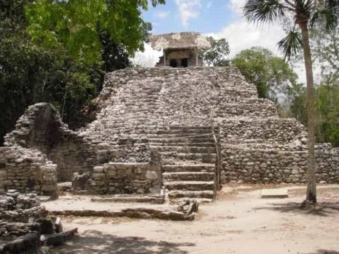 Coba and Turtles Adventure - Customer Feedback