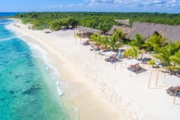 Coba and Turtles Adventure - Beachside Lunch Experience