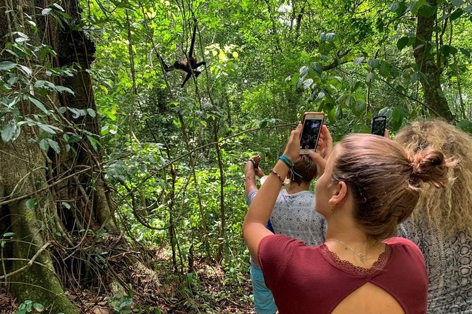 Coba & Monkey Sanctuary Punta Laguna Private Tour - Pickup Details