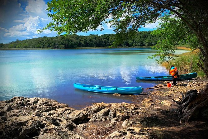 Coba & Monkey Sanctuary Punta Laguna Private Tour - Nature Reserve in Punta Laguna