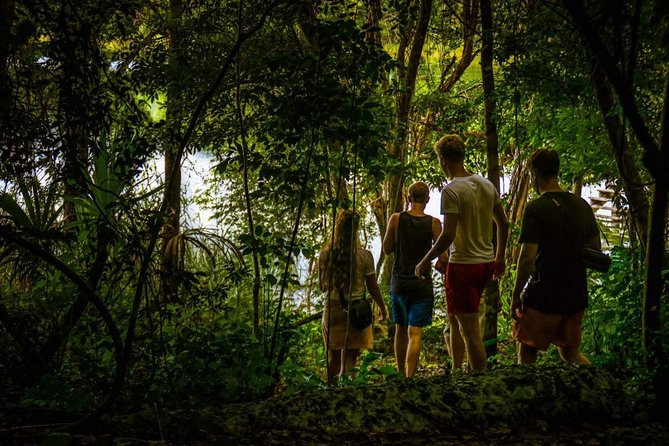 Coba & Punta Laguna From Tulum & Dos Ojos Snorkel - Small Group - All Inclusive - Explore Mayan Ruins by Bicycle