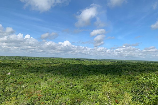 Coba Ruins and Punta Laguna Monkey Reserve Day Tour From Tulum - Practical Information
