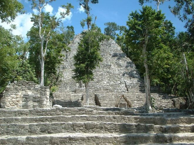 Coba Ruins & Cenote Private Tour - Pricing