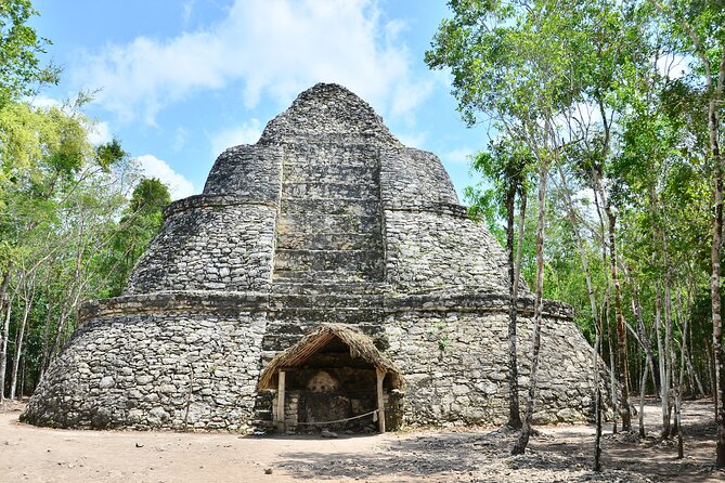 Cobá Tour and Akumal Sea Turtles Snorkeling With Lunch - Tour Highlights
