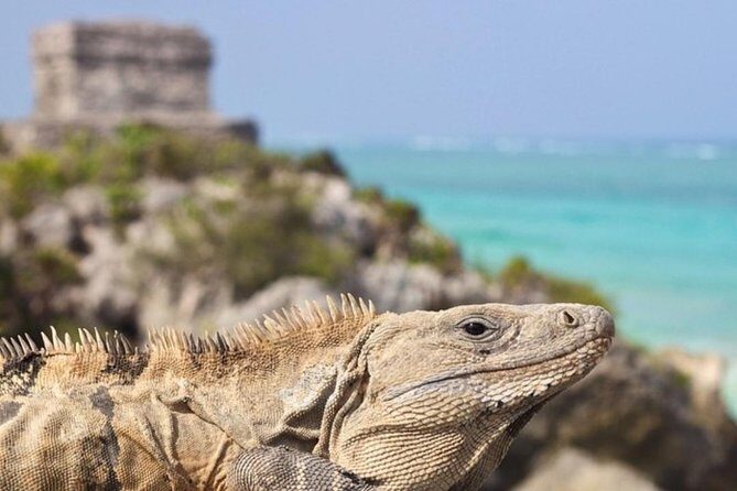 Coba, Tulum & Cenote swim - Good To Know
