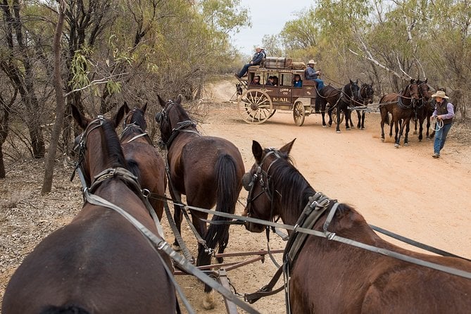 Cobb and Co Stagecoach Experience - Award-Winning Stagecoach Experience