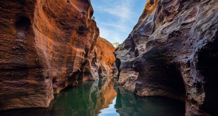 Cobbold Gorge 3 Hour Tour - Experience Highlights