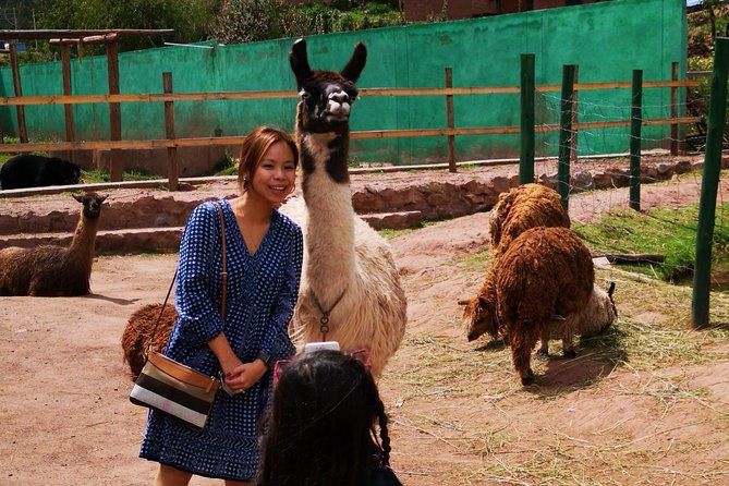 Cochahuasi Animal Sanctuary Private Tour From Cusco - Pricing and Terms